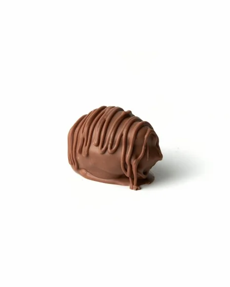Tâmara jumbo vegana DONUTRI coberta de chocolate